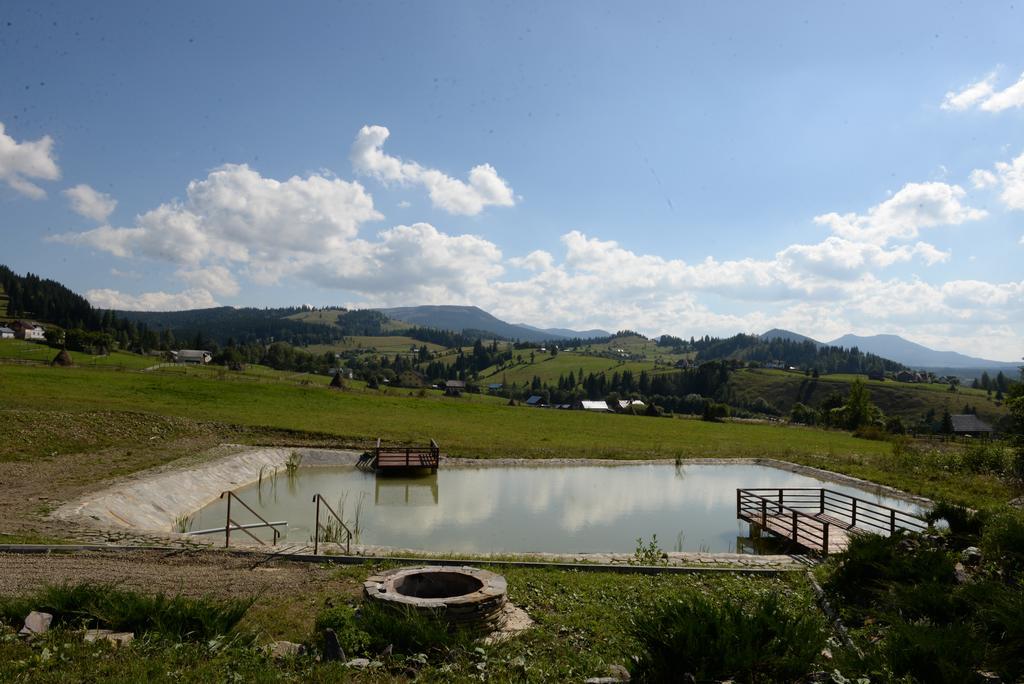 Pensiunea La Bella Vista ปอยอานาเนกรี ภายนอก รูปภาพ